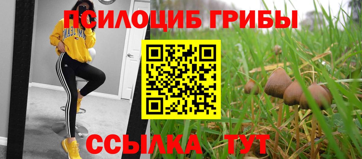 Галлюциногенные грибы Magic Shrooms  Вход с VPN  Нарткала 