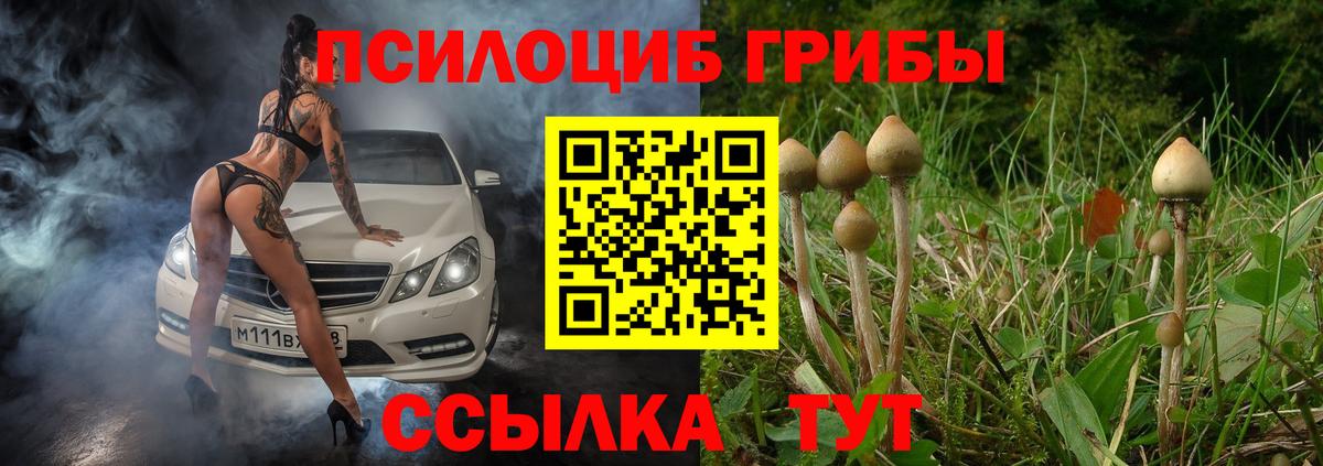 Галлюциногенные грибы Cubensis Нарткала